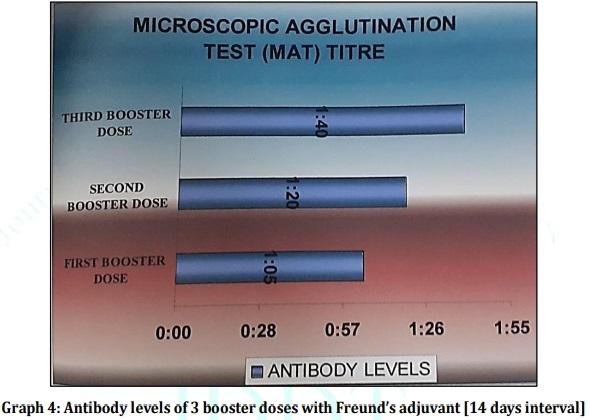 Vaccine Preperative Trial for Leptospirosis and their Pathological, Immunological Study by Serum Electrophoresis - Image 12