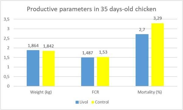 The Liver, a Key Organ in Poultry Production - Image 3