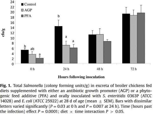 Comparative efficacy of a phytogenic feed additive and an antibiotic growth promoter on production performance, caecal microbial population and humoral immune response of broiler chickens inoculated with enteric pathogens - Image 4