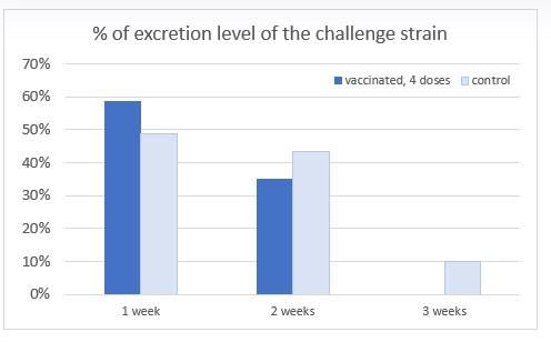 Salmonella in Poultry: Is it safe to vaccinate during the egg production period? - Image 3