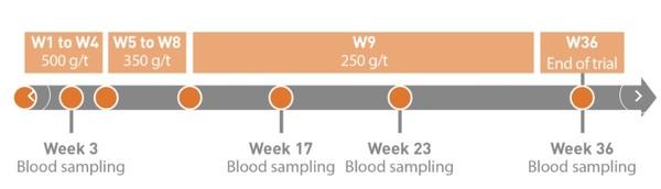 Promoting poultry health in a post-antibiotic era - Image 2
