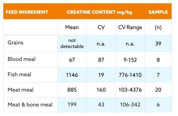 Creatine: The missing link for healthy growth - Image 4