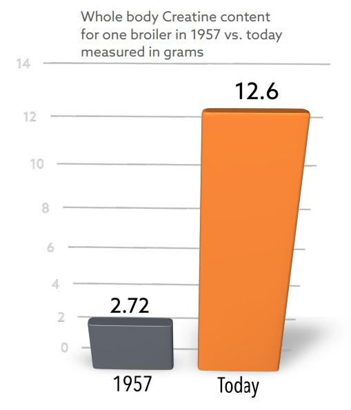 Creatine: The missing link for healthy growth - Image 2