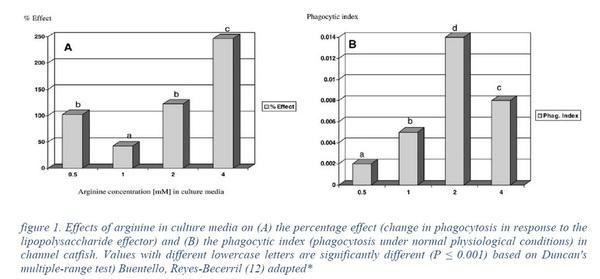 Effects of Dietary Arginine on Growth Performance and Health in Fish - Image 1