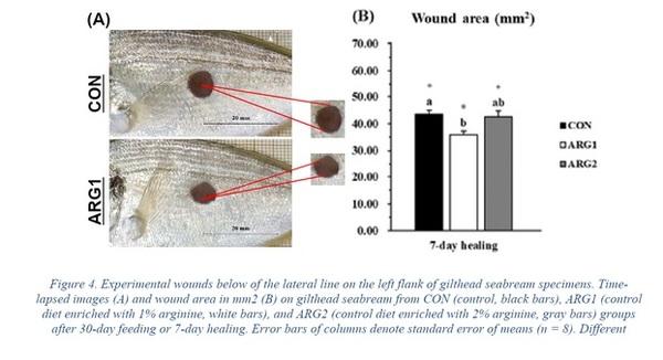 Effects of Dietary Arginine on Growth Performance and Health in Fish - Image 3