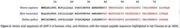 Antimicrobial peptides as an alternative to relieve antimicrobial growth promoters in poultry - Image 7