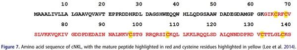 Antimicrobial peptides as an alternative to relieve antimicrobial growth promoters in poultry - Image 8