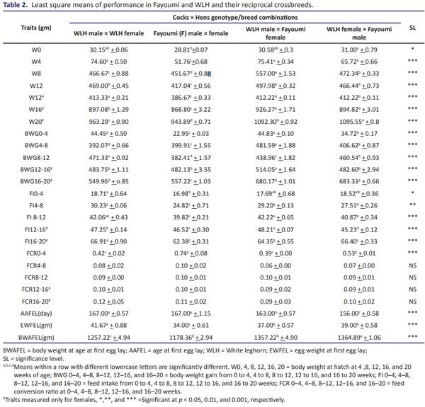 Evaluation of different traits from day-old to age at first eggs of Fayoumi and White leghorn chickens and their reciprocal crossbreeds - Image 2