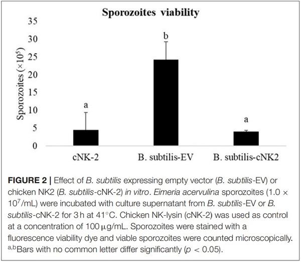Oral Delivery of Bacillus subtilis Expressing Chicken NK-2 Peptide Protects Against Eimeria acervulina Infection in Broiler Chickens - Image 4