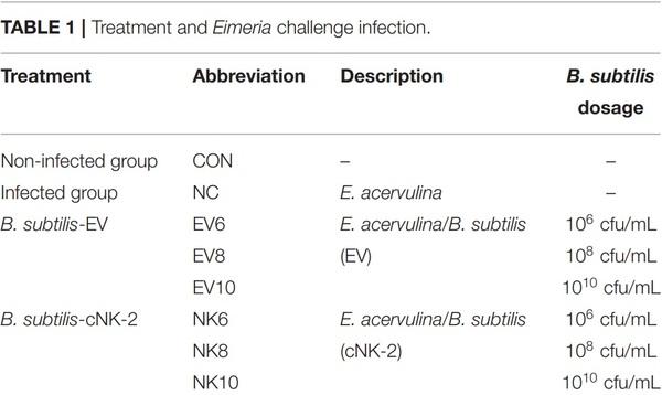 Oral Delivery of Bacillus subtilis Expressing Chicken NK-2 Peptide Protects Against Eimeria acervulina Infection in Broiler Chickens - Image 1