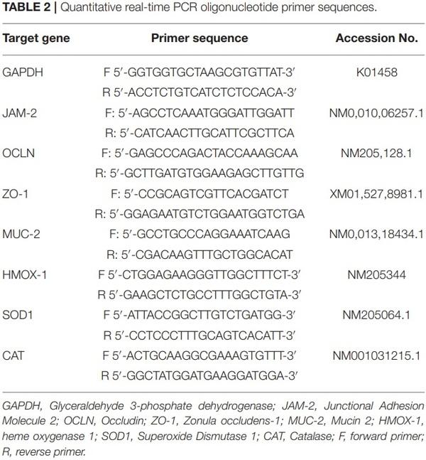 Oral Delivery of Bacillus subtilis Expressing Chicken NK-2 Peptide Protects Against Eimeria acervulina Infection in Broiler Chickens - Image 3
