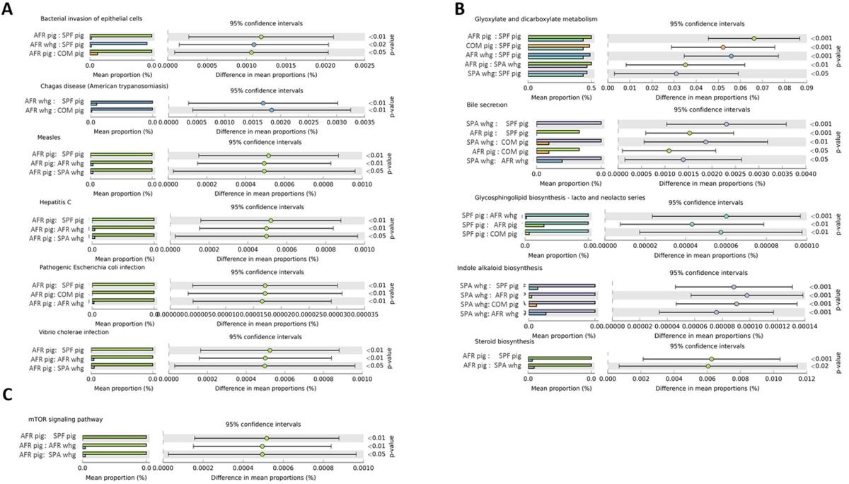 Comparative analysis of the fecal microbiota from different species of domesticated and wild suids - Image 3