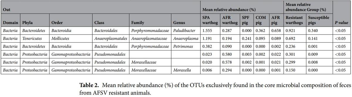 Comparative analysis of the fecal microbiota from different species of domesticated and wild suids - Image 1