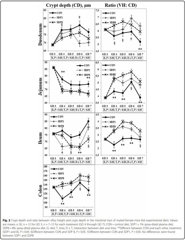 Dietary spray-dried plasma improves intestinal morphology of mated female mice under stress condition - Image 3