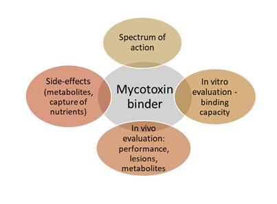 Effects of mycotoxins on chicken production in Southeast Asia - Image 3