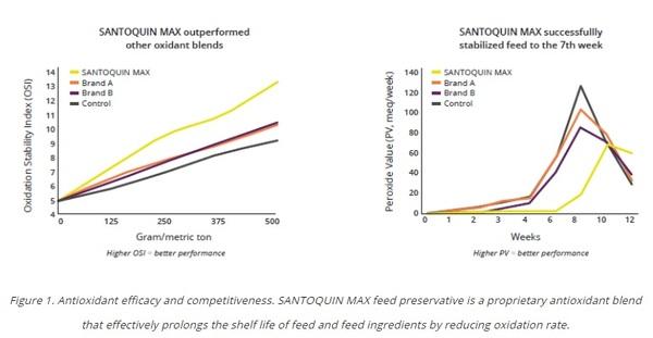 Antioxidant benefits in pig feed - Image 4