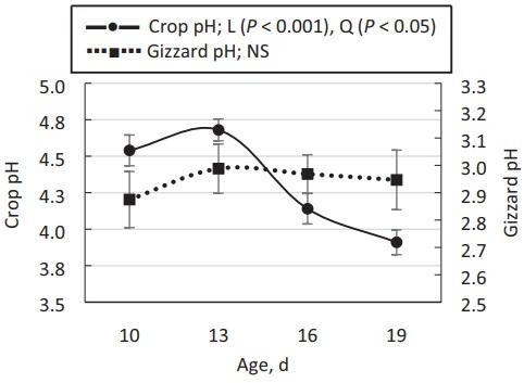The length of the feed restriction period affects eating behavior, growth performance, and the development of the proximal part of the gastrointestinal tract of young broilers - Image 6