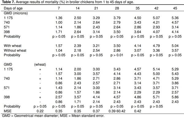 Maize particle size with the addition of wheat on zootechnical parameters in chickens - Image 7