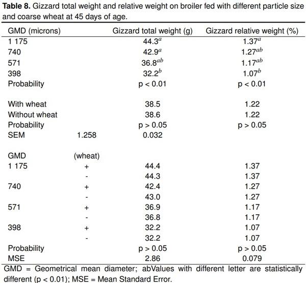 Maize particle size with the addition of wheat on zootechnical parameters in chickens - Image 8