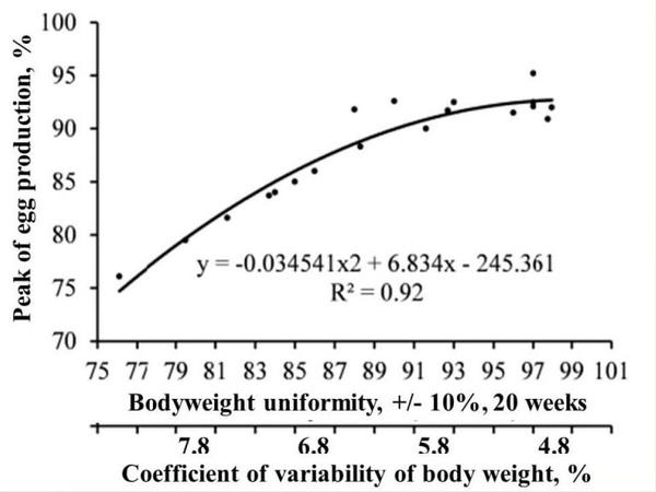 How to Increase the Persistence of Egg Production in Broiler Breeders? - Image 1