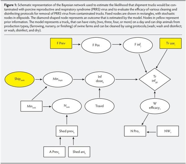 Modelling contamination of trucks used in the shipment of pigs infected with porcine reproductive and respiratory syndrome virus - Image 1