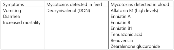 Table 1. Comparison of symptoms detected on a farm with mycotoxins detected in feed and blood demonstrating that feed analysis alone is not enough to assess mycotoxin risk.
