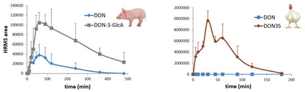 Pigs are more sensitive to DON as the glucuronidation metabolic pathway to the metabolite DON-3-GlcA is limited in capacity, resulting in higher. The sulfation pathway in chickens is more efficient at converting DON to DON3S as shown by blood plasma levels measured by high-resolution mass spectrometry (HRMS).