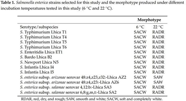 Effect of Food Residues in Biofilm Formation on Stainless Steel and Polystyrene Surfaces by Salmonella enterica Strains Isolated from Poultry Houses - Image 2