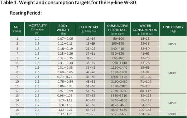 Nutritional strategies to achieve 500 eggs in 100 weeks in high-production layers - Image 9