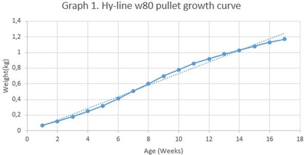 Nutritional strategies to achieve 500 eggs in 100 weeks in high-production layers - Image 10