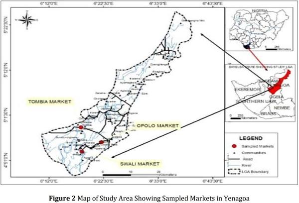 Investigation of heavy metal levels of clams (Egeria radiata) sold in open markets in Port Harcourt and Yenagoa, Nigeria - Image 2