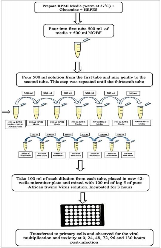 Natural oil blend formulation as an anti-African swine fever virus agent in in vitro primary porcine alveolar macrophage culture - Image 6