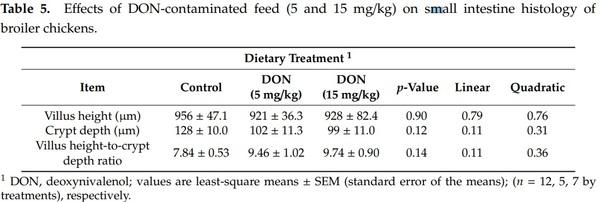 Effects of Deoxynivalenol-Contaminated Diets on Productive, Morphological, and Physiological Indicators in Broiler Chickens - Image 5