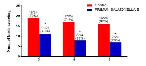 Primun Salmonella E, a new proposal from CALIER in Salmonella prevention in poultry - Image 3