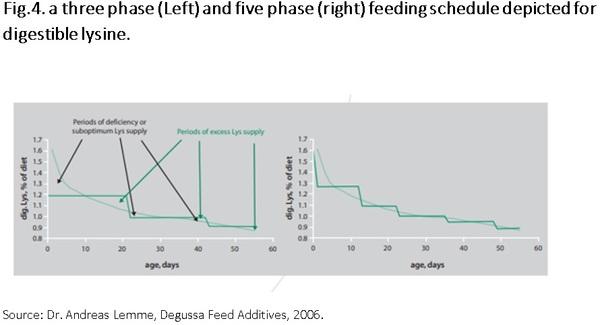 Nutritional requirements of modern broilers - Image 7