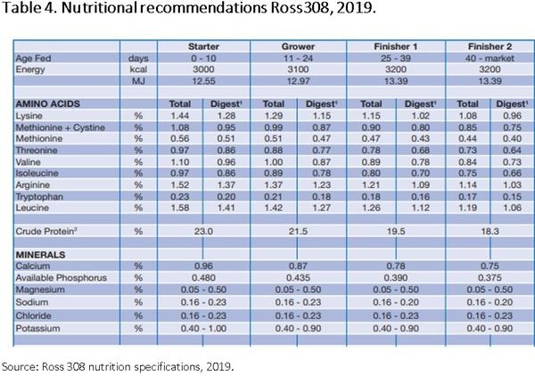 Nutritional requirements of modern broilers - Image 13