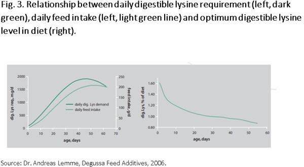 Nutritional requirements of modern broilers - Image 6