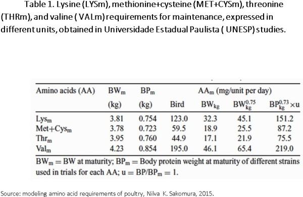 Nutritional requirements of modern broilers - Image 5