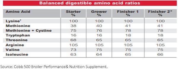 Nutritional requirements of modern broilers - Image 19