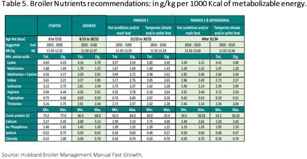 Nutritional requirements of modern broilers - Image 17