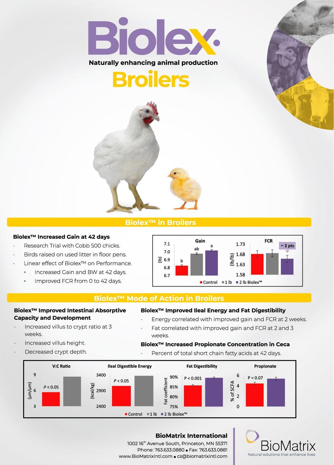 Field trial results in broilers - Image 1