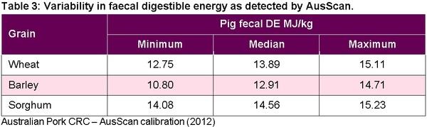 Australian barley, wheat and sorghum as alternative grains in pig diets in Asia - Image 3