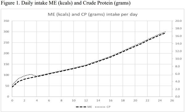 Practical Pullet and Breeder Nutrition - Image 2