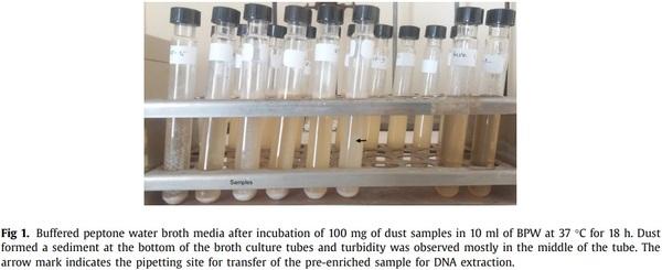 A molecular based method for rapid detection of Salmonella spp. in poultry dust samples - Image 1