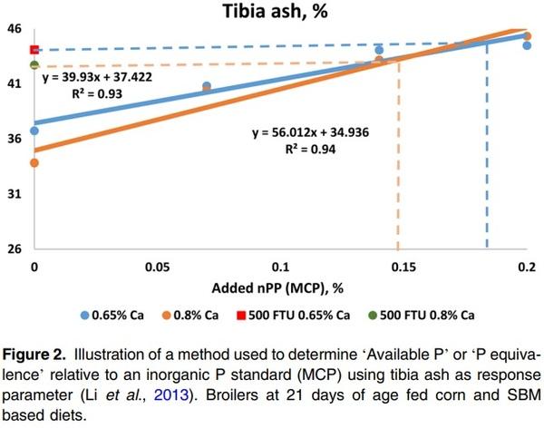 A critical review of methods used to determine phosphorus and digestible amino acid matrices when using phytase in poultry and pig diets - Image 2