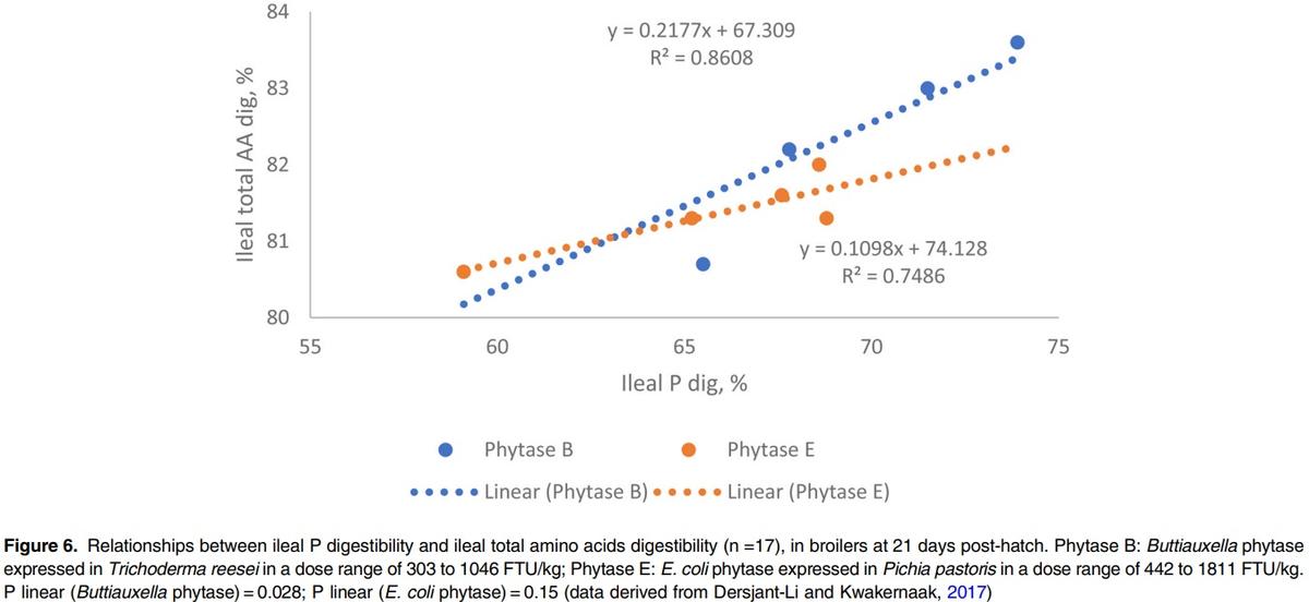 A critical review of methods used to determine phosphorus and digestible amino acid matrices when using phytase in poultry and pig diets - Image 5