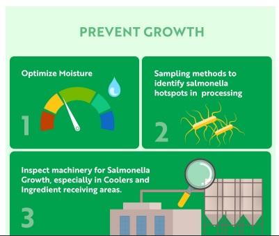 Managing Salmonella contamination: gold standard for improving feed hygiene - Image 2