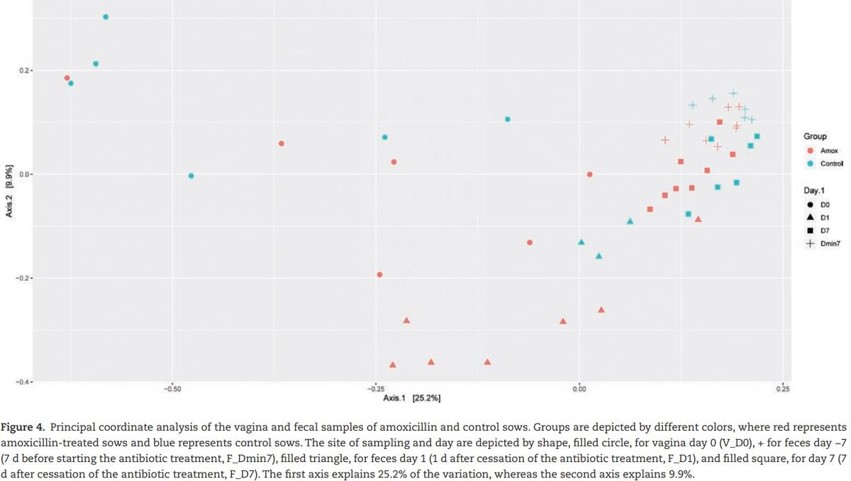 The effect of maternal antibiotic use in sows on intestinal development in offspring - Image 9