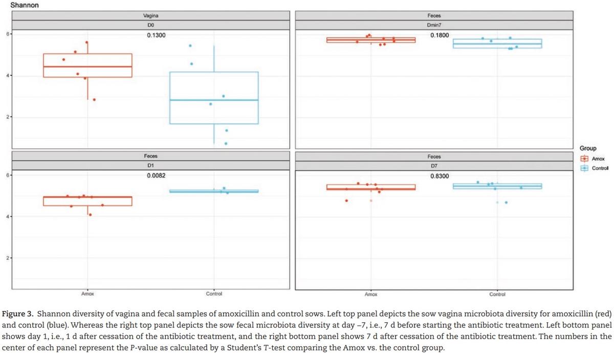 The effect of maternal antibiotic use in sows on intestinal development in offspring - Image 7