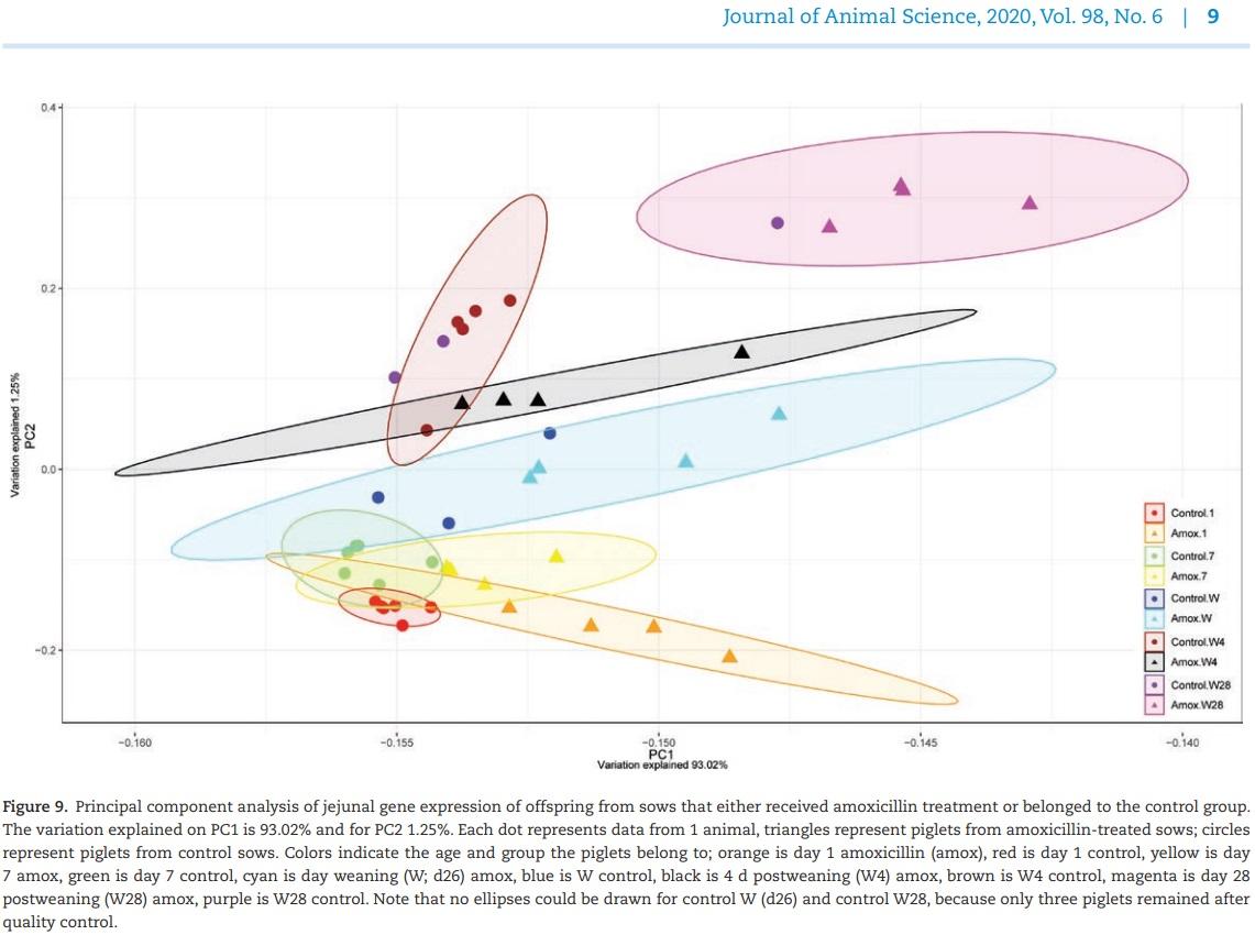 The effect of maternal antibiotic use in sows on intestinal development in offspring - Image 17